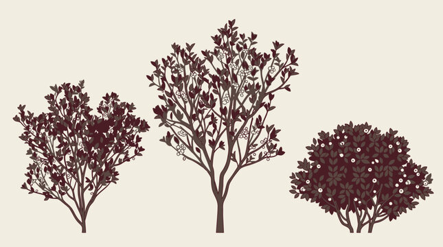 Ensemble d'illustrations vectorielles repr&eacute;sentant trois arbres et arbustes stylis&eacute;s en silhouette marron fonc&eacute; sur un fond beige clair pour des projets de design graphique.