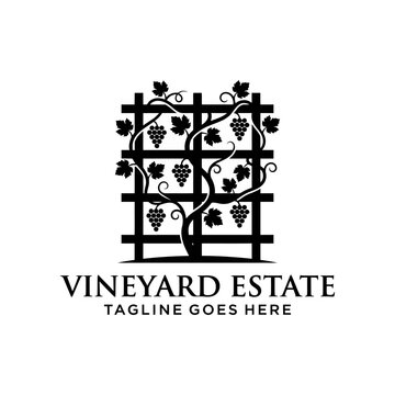 Grapevine trellis vineyard estate logo symbol.