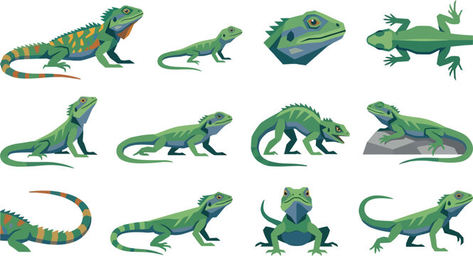 Diverse collection of green iguana poses in a modern geometric flat vector style for nature and animal studies