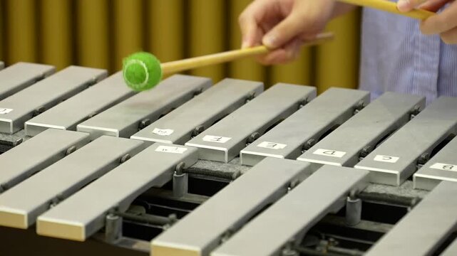 Musician playing wooden marimba with white mallets.