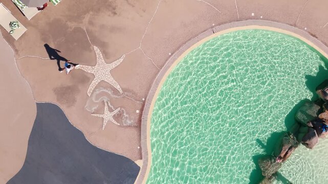 Aerial view of people relaxing by a resort pool with starfish mosaic and umbrellas