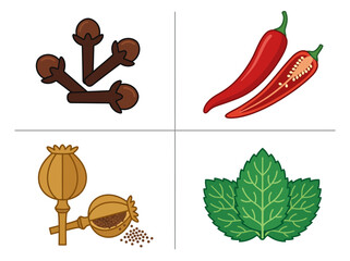 Set of Culinary Herb and Spice Vector Illustrations Including Cloves, Red Chili Pepper, Poppy Seed Pods, and Fresh Mint Leaves © Suci