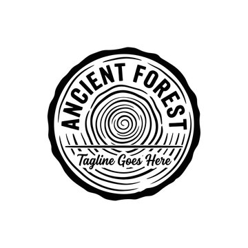 Ancient forest tree ring logo.