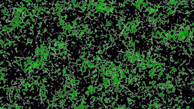 Green Camouflage Liquid Plasma Moving Abstract Texture Seamless Loop Perfect For Background Vector Motion Graphic