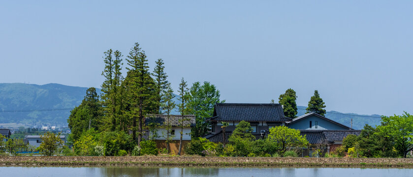 Traditional Japanese farmhouse (Azumadachi style) surrounded by a homestead windbreak forest (Yashikirin) in Toyama