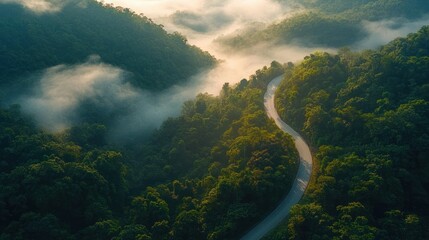 winding mountain road cutting through lush green forest with morning mist and golden sunlight conveying a tranquil serene mood © video