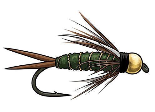 vector art of a standard fly fishing lure