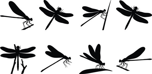 Dragonfly and Damselfly Silhouette Collection with Flying Insect Nature Vector Set © AlRafin