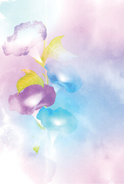 Soft Watercolor Illustration of Morning Glory Flowers