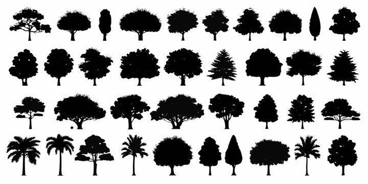 detailed black tree silhouettes on white background silhouette forest nature landscape graphic design vector icon pattern botany ecology outdoor environment