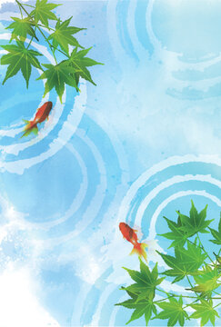 Goldfish swimming in a refreshing water surface with green maple leaves
