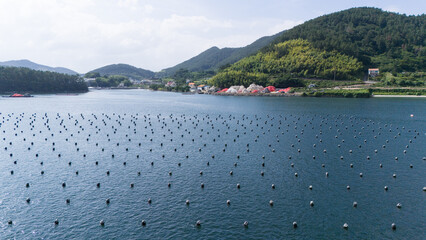 Aerial view of rows of floating buoys in coastal waters used for seafood cultivation and aquaculture. © soya