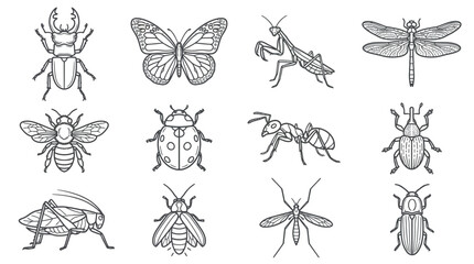 Set of detailed insect line art illustrations and icons. © difka