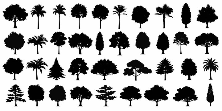 detailed black tree silhouettes on white background silhouette forest palm pine oak birch maple willow cedar elm vector graphic design