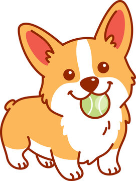 Cute Corgi Dog with Tennis Ball in Mouth Illustration for Pet Happiness and Play