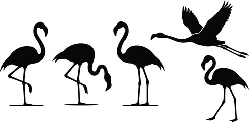 Naklejka premium Flamingo silhouettes, black flamingos, bird icons, vector illustrations, wildlife graphics