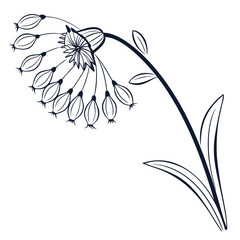 vector illustration of a wind dandelion breez flower © fatema tuj zohora