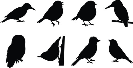 Fototapeta premium Small Songbird Silhouette Collection with Sparrow Robin Wren Owl and Perching Bird Vector Set