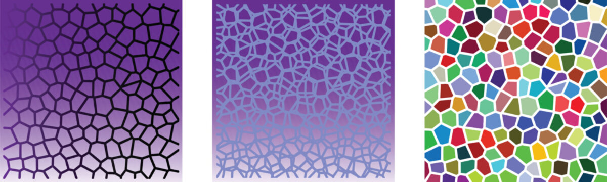 Set of three abstract seamless patterns with geometric cellular structures, mosaic style, vector illustration of organic honeycomb shapes in blue gradient and colorful variations