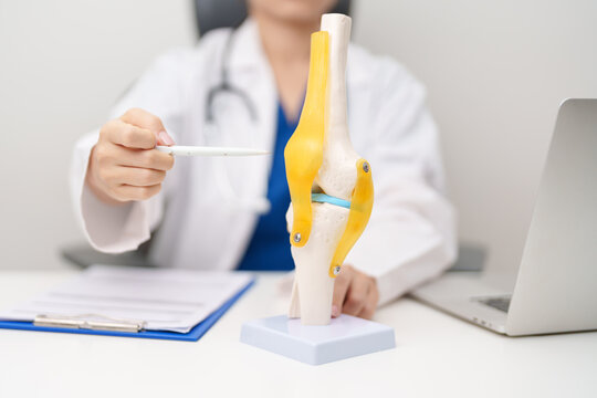 Doctor with Human Knee joint anatomy model. Osteoarthritis, Patellofemoral Pain Syndrome, Patellar Tendinitis, ACL, Anterior Cruciate Ligament, PCL, Posterior, MCL, Medial Collateral, LCL and Lateral