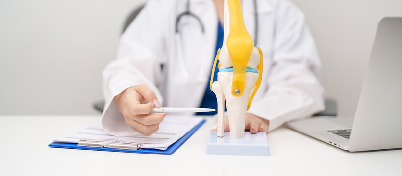 Doctor with Human Knee joint anatomy model. Osteoarthritis, Patellofemoral Pain Syndrome, Patellar Tendinitis, ACL, Anterior Cruciate Ligament, PCL, Posterior, MCL, Medial Collateral, LCL and Lateral