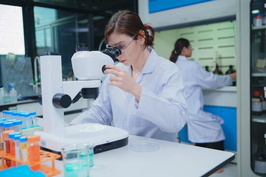 Scientist Analyzing Samples with Microscope in a Laboratory