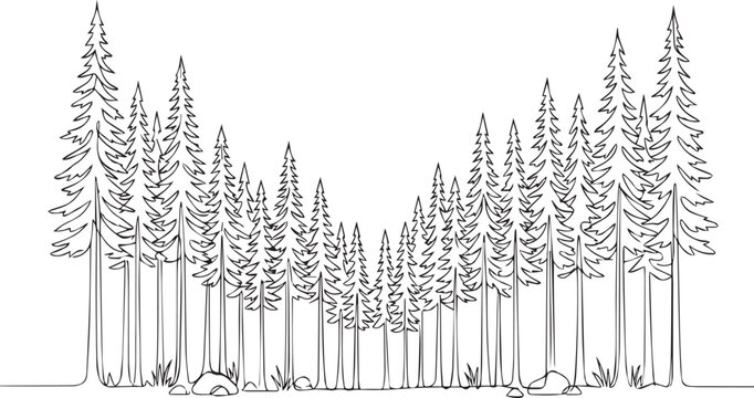 Minimalist continuous line art illustration of a dense pine forest with small rocks