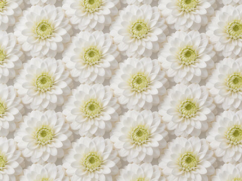 White flowers in a repeating pattern
