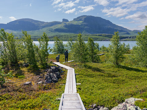 Wooden boardwalk leading through alpine heath toward the river with visitors enjoying the mountain scenery in Stora Sj&ouml;fallet National Park, Swedish Lapland. Summer landscape in the UNESCO World Herit