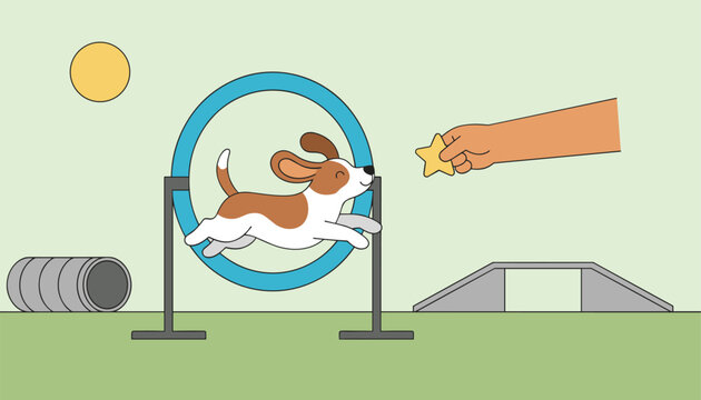 Dog agility training scene showing a cute puppy jumping through a hoop for a star treat on a grassy field.