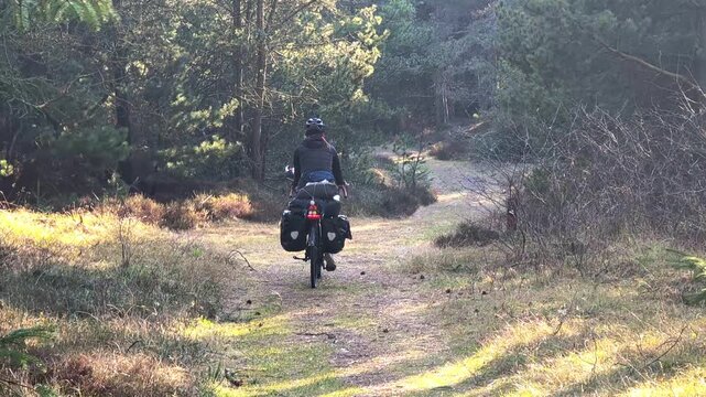 Woman riding a touring bicycle on a scenic forest trail