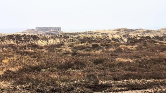Danish coastline featuring old war bunker on a windy day