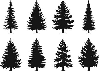 Collection of black coniferous pine tree silhouettes on transparent background. © Mst Insanara Begum