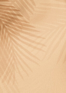 Soft beige background with palm leaf shadows creating a tropical vibe.