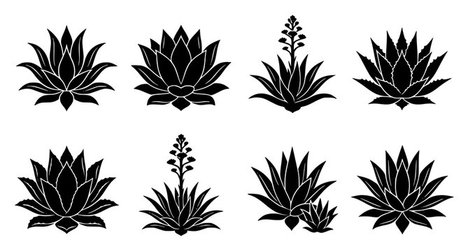 Agave plant silhouettes collection vector graphics for southwestern desert designs