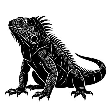 Black iguana lizard illustration isolated on white background. Detailed reptile vector art with intricate scales and sharp claws for design projects.