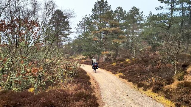 Cyclist touring on a gravel path in a Danish forest
