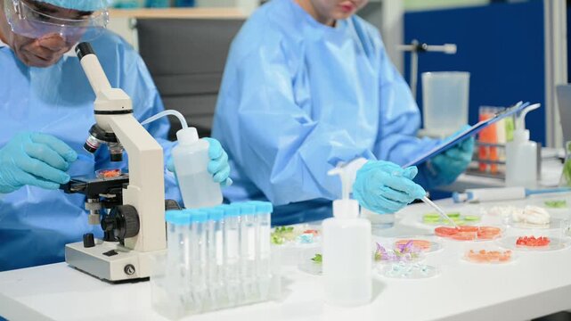 Biomedical scientists perform laboratory research using microscopes and pipettes. Medical testing, biotechnology, healthcare innovation in modern lab.