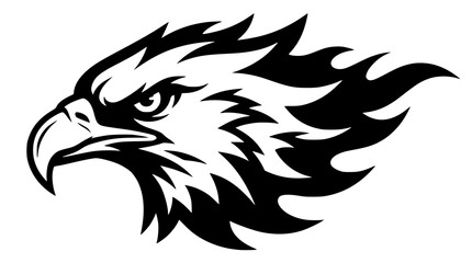 Fototapeta premium Black and white vector eagle head illustration with sharp feathers
