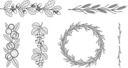 Vintage Hand Drawn Autumn Oak Leaves and Chestnut Borders Set © Taslima
