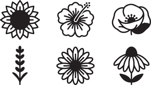 Set of six black and white simple line art flowers and leaves Vector