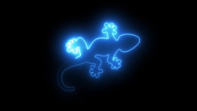 Blue neon outline of a gecko crawling on black background abstract animation glowing reptile