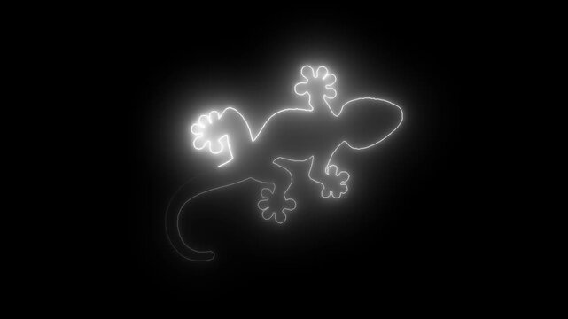 Neon outline lizard silhouette glowing on black background abstract minimalist reptile animation