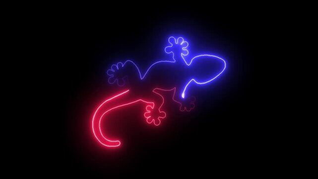 Abstract Lizard. Self drawing animation one continuous line draw, logo. Blazing flame, energy, fire on black background. neon blue luminous sign