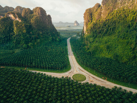 Aerial View of Circular Roundabout Intersection in Green Palm Forest