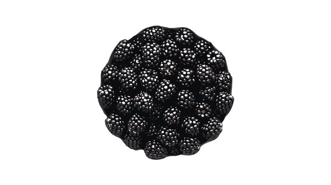 Fresh ripe blackberries are arranged neatly inside a simple white ceramic bowl for healthy eating