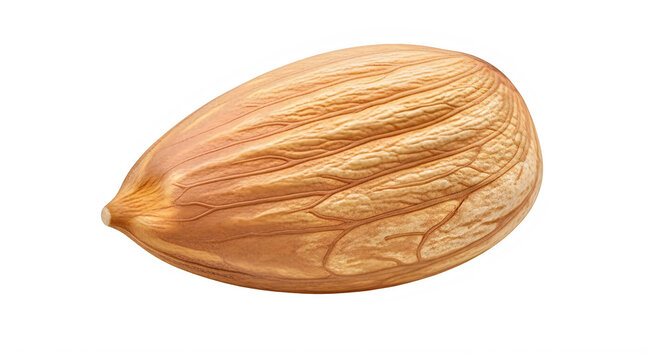 One single raw brown almond nut isolated on a simple surface isolated on transparent background