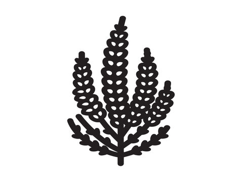 Heather flower icon. Floral line art vector. Botanical nature element.