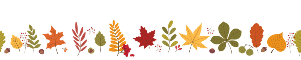 A crisp linear seamless horizontal vector border containing fall tree leaves acorns chestnuts and bright red berry bundles arranged in a straight sequence. Vector illustration © Elena