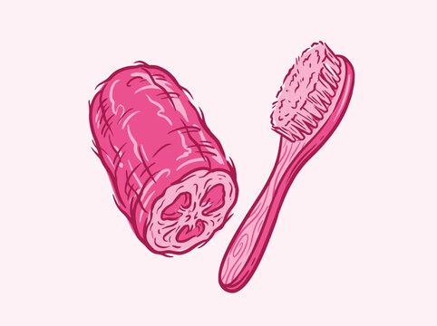 Hand drawn illustration of a natural loofah sponge and a wooden bath brush for body exfoliation and skincare routine